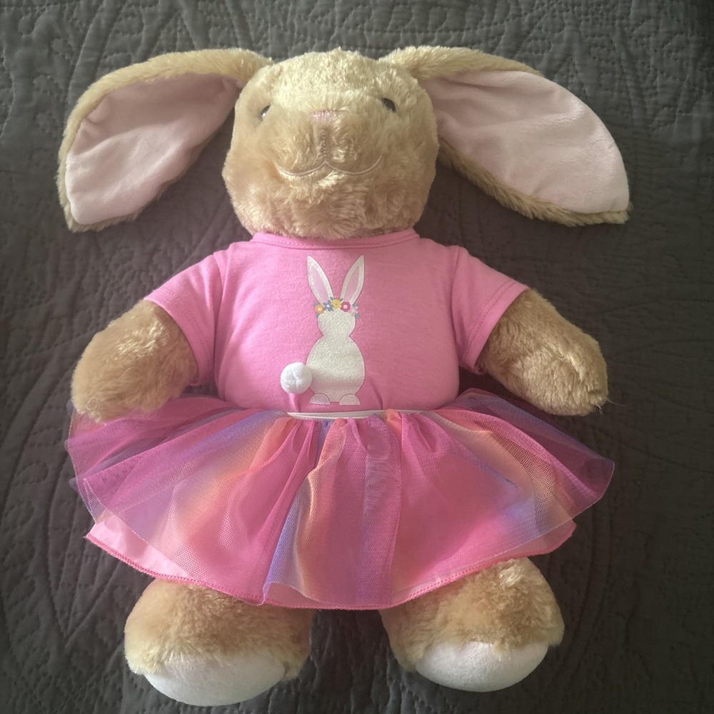 Build-A-Bear Bunny Rabbit Plush, 14" & Pink bunny, rainbow outfit tutu dress